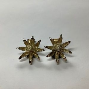 Vintage Ear Clips